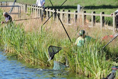 Angelstelle - Étang Philippe