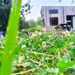 © MOOSE Home- Tiny house - moose