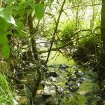 © Angelstelle - Fluss Le Chavanon - OTCombrailles