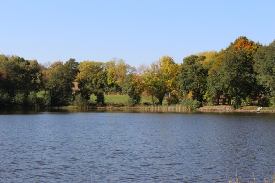 © Angelstelle - Étang de Lachamp - OT Combrailles