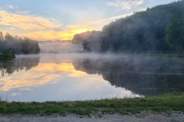 © Angelplatz - Étang des Cayers - Beaufils Sébastien