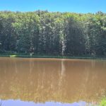 © Angelplatz - Étang des Cayers - Beaufils Sébastien