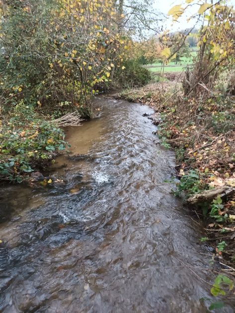 © Angelstelle - Fluss La Bouble_Saint-Éloy-les-Mines - AAPPMA les gaules reunies Bouble et Sioule