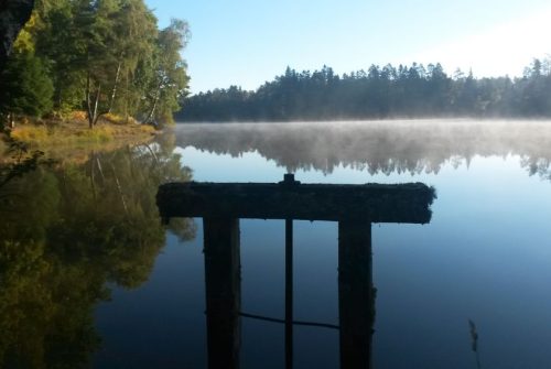 Angelstelle - Étang de Fayat