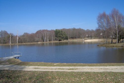 Picknickbereich - Plan d'Eau de La Bregirolle