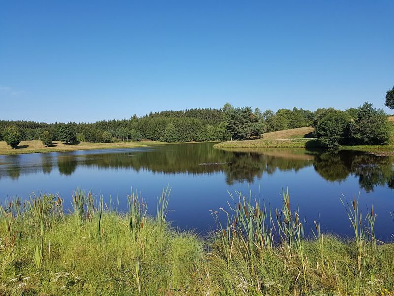 © Picknickbereich - Plan d'Eau Béal des Roziers - Manuby A.