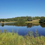 © Picknickbereich - Plan d'Eau Béal des Roziers - Manuby A.