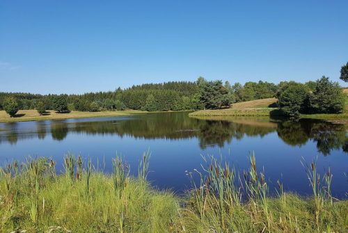 Picknickbereich - Plan d'Eau Béal des Roziers