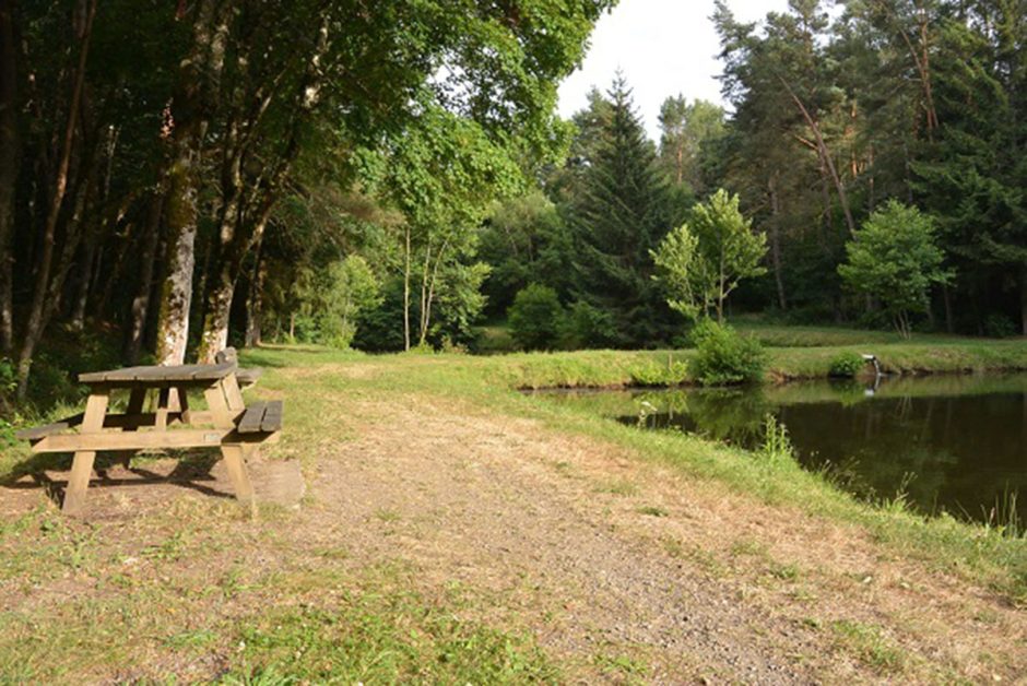 © Picknickbereich - Étang des Piscines - OT Combrailles