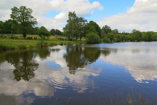 Angelplatz - Étang de la Sagne