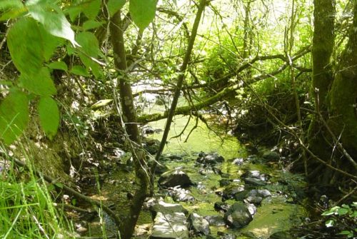 Angelstelle - Fluss Le Chavanon